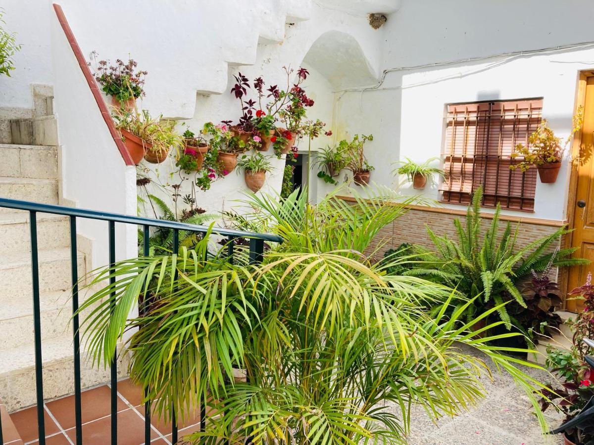 Conil Centro Apartment